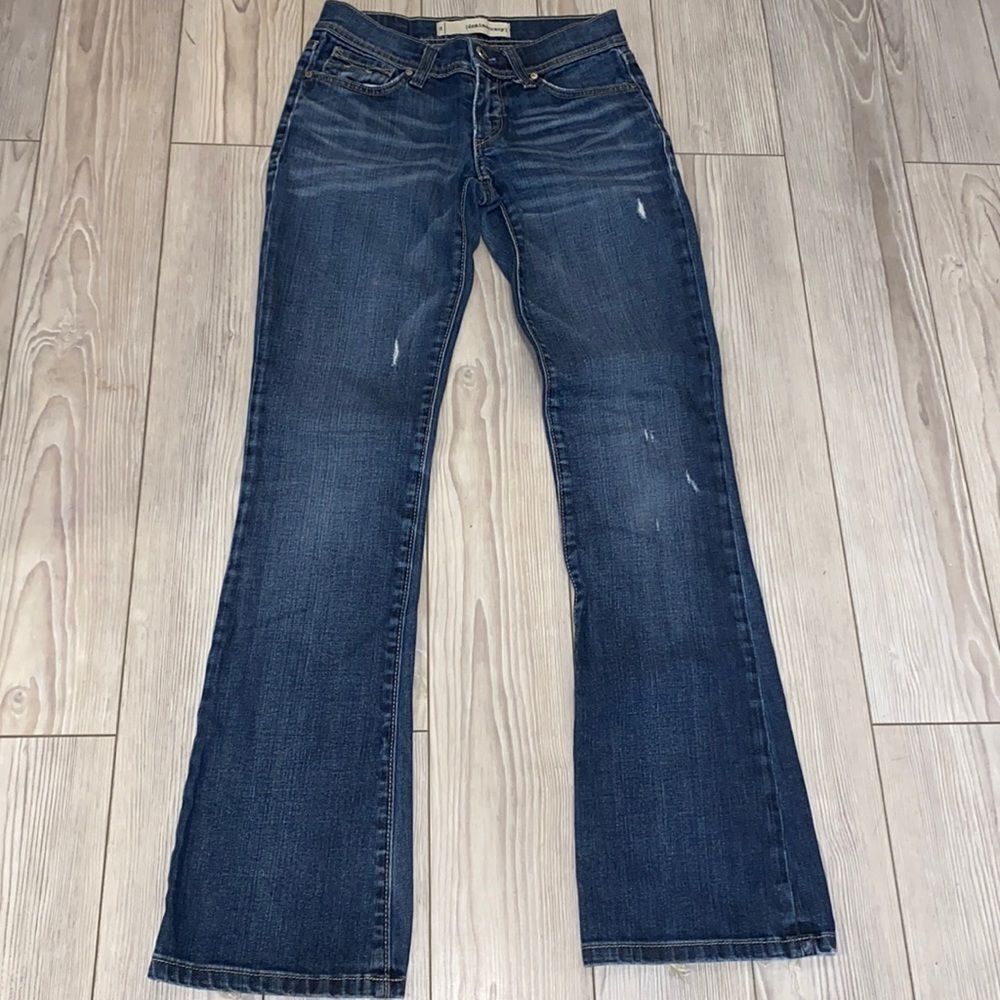 Denimocracy flare jeans size 24